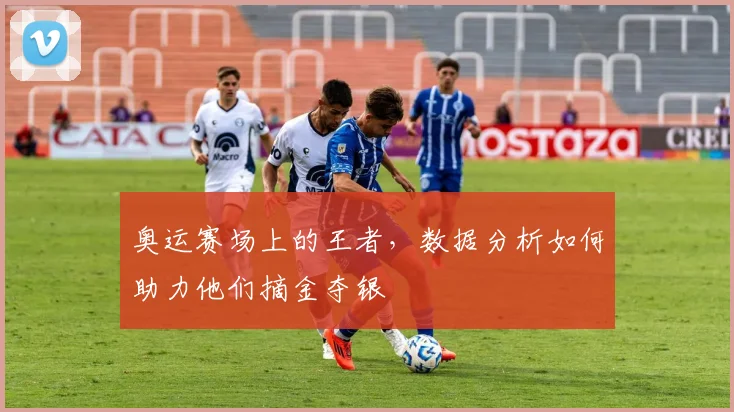 奥运赛场上的王者，数据分析如何助力他们摘金夺银