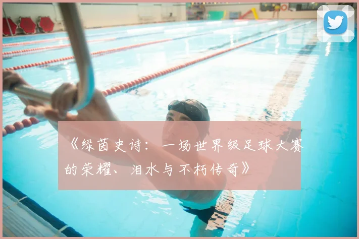 《绿茵史诗：一场世界级足球大赛的荣耀、泪水与不朽传奇》